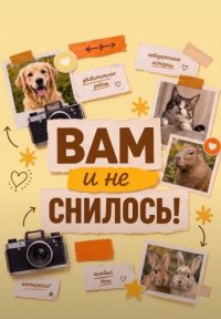 Сериал Вам и не снилось (2026) смотреть онлайн