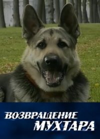 Сериал Возвращение Мухтара (2004-2015) смотреть онлайн