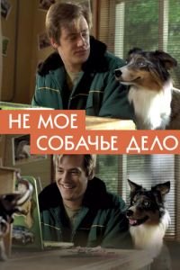 Фильм Не моё собачье дело (2020) смотреть онлайн