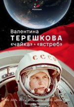 Сериал Валентина Терешкова: Чайка и Ястреб (2013) смотреть онлайн