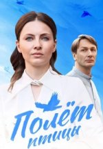 Сериал Полет птицы (2025) смотреть онлайн