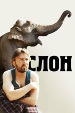 Сериал Слон (2010) смотреть онлайн