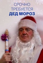 Сериал Срочно требуется Дед Мороз (2007) смотреть онлайн