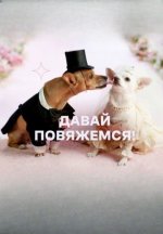 Сериал Давай повяжемся! (2024) смотреть онлайн